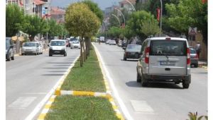 Taşlar boyanıyor, güzel görünüm kazanıyor