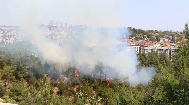 Karabük'te orman yangını