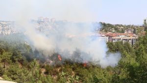 Karabük'te orman yangını