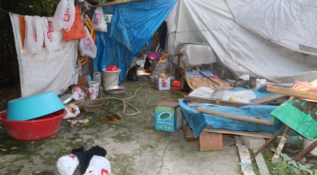 Uçurumdaki kedisini kurtarmak isteyen yaşlı kadın mahsur kaldı