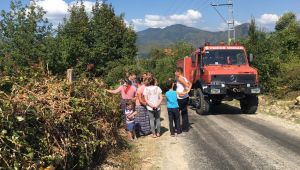 Yenice'de bahçe yangını