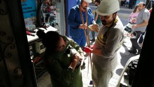 Yavru kedi için ölümü göze aldı