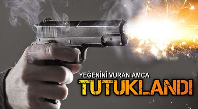 Ağaç kesme tartışmasında yeğenini öldüren zanlı tutuklandı
