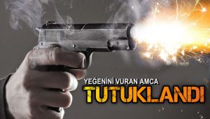 Ağaç kesme tartışmasında yeğenini öldüren zanlı tutuklandı