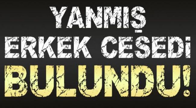 Ağaçlık alanda yanmış erkek cesedi bulundu