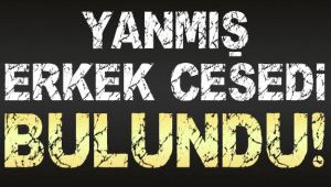 Ağaçlık alanda yanmış erkek cesedi bulundu