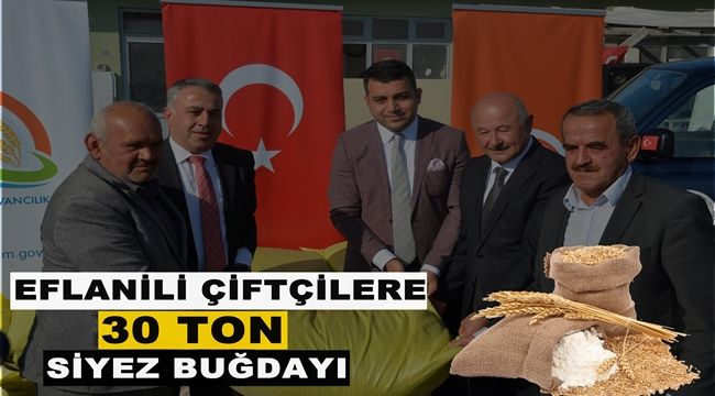 Eflanili çiftçilere 30 ton siyez buğdayı dağıtıldı