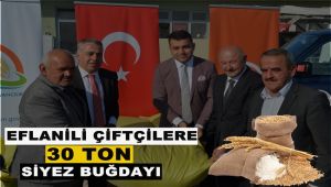 Eflanili çiftçilere 30 ton siyez buğdayı dağıtıldı