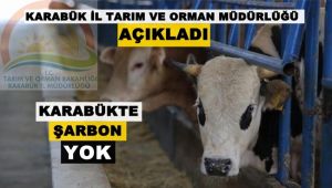 Karabük İl Tarım ve Orman Müdürlüğü'nden şarbon açıklaması