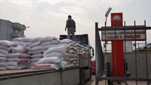 Karabük'te çiftçilere buğday tohumu dağıtımı devam ediyor