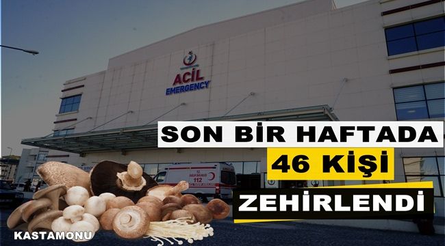 Kastamonu’da son 1 haftada 46 kişi mantardan zehirlendi