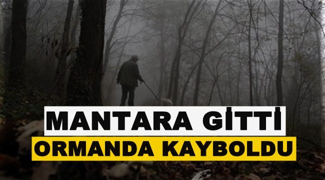 Mantar için gittiği ormanda kayboldu