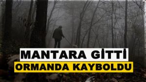 Mantar için gittiği ormanda kayboldu