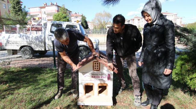 Safranbolu'da kedi evlerinin sayısı artıyor