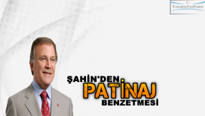 TBMM eski Başkanı Şahin'den ekonomiyi 'Patinaj' benzetmesi
