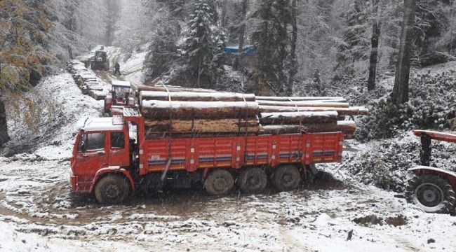 Yenice ormanlarına ilk kar düştü