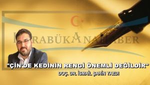 Çin’de kedinin rengi önemli değildir