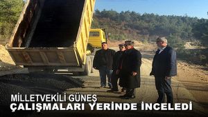 Milletvekili Güneş, çalışmaları yerinde inceledi