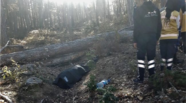 Odun kesmek için gittiği ormanda kalbine yenik düştü