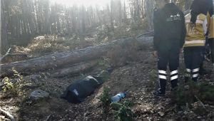 Odun kesmek için gittiği ormanda kalbine yenik düştü