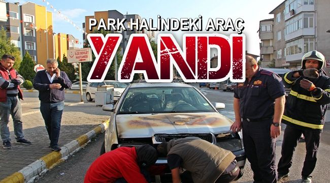 Park halindeki araç yandı