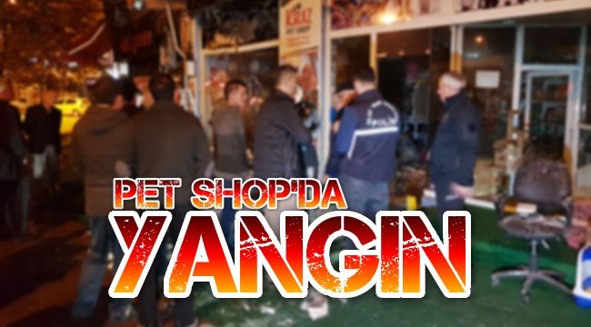 Pet shop'ta yangın çıktı, farklı türdeki kuşlar telef oldu