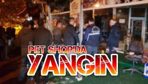 Pet shop'ta yangın çıktı, farklı türdeki kuşlar telef oldu