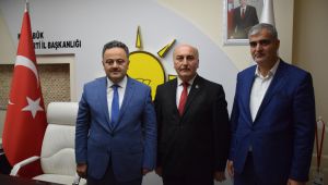 Sözen, yeniden AK Parti'de
