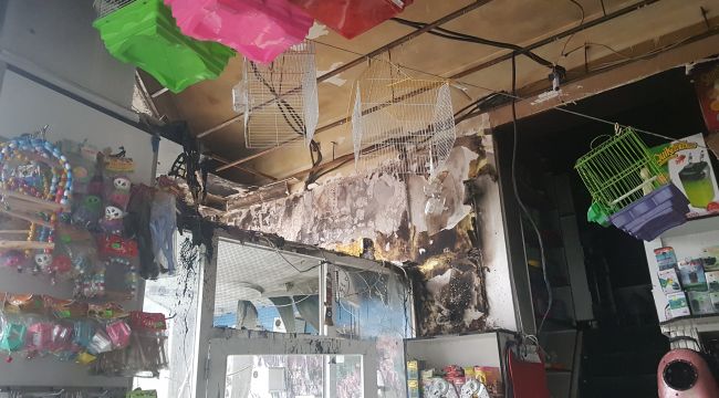 Yangında onlarca kuşun telef olduğu dükkanda temizlik çalışması başladı
