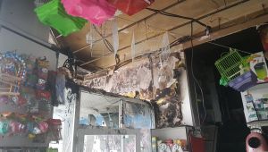 Yangında onlarca kuşun telef olduğu dükkanda temizlik çalışması başladı
