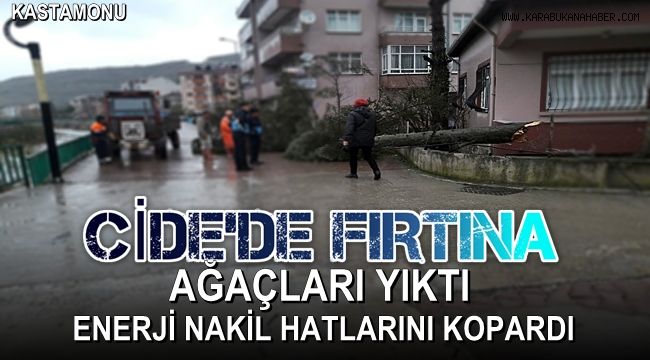 Cide'de fırtına etkili oldu