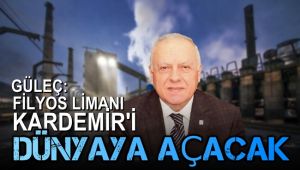KARDEMİR Yönetim Kurulu Başkanı Güleç: