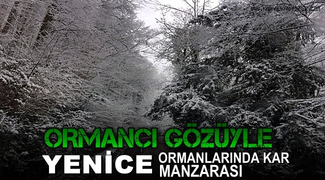 Ormancı gözüyle Yenice ormanlarında kar manzarası