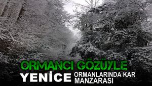 Ormancı gözüyle Yenice ormanlarında kar manzarası