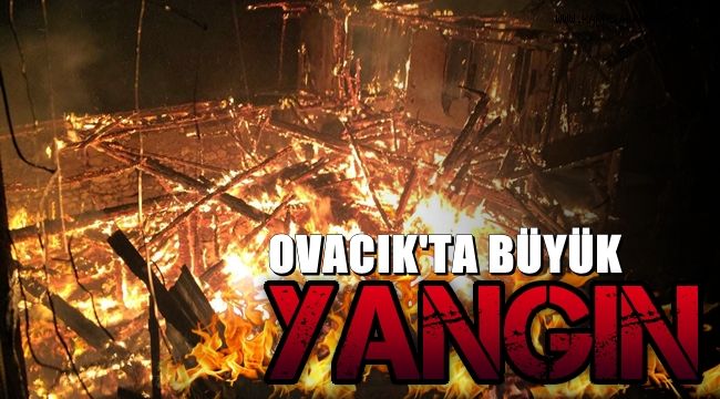 Ovacık'ta 2 ev alevlere teslim oldu