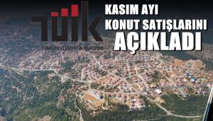 TÜİK Kasım ayı konut satışlarını açıkladı