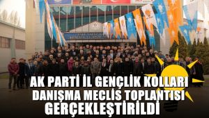 AK Parti İl Gençlik Kolları Danışma Meclis Toplantısı gerçekleşti