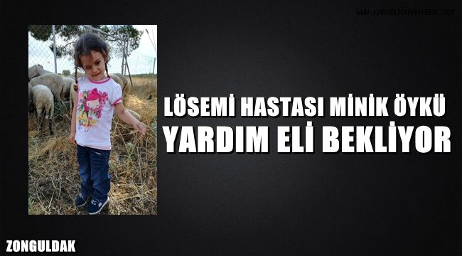 Lösemili Öykü Arin için kan bağışı kampanyası düzenlenecek