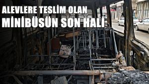 Park halindeki minibüs alevlere teslim oldu