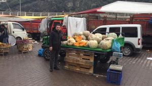 Tarlasında 120 adet mısır kabağı yetiştirdi