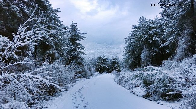 Yenice'de kart postallık manzaralar oluştu