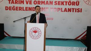Bakan Pakdemirli, Karabük'ün sera yatırımına önem vermesini istedi