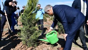İmzalanan protokol kapsamında 560 fidan dikildi