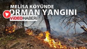 Karabük'te orman yangını
