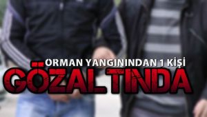 Karabük'teki orman yangınında 1 kişi gözaltına alındı