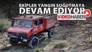 Orman yangınında soğutma çalışmaları sürüyor