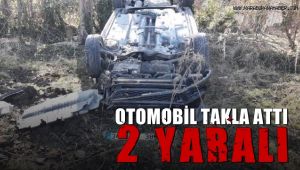Takla atan otomobil ağaçlık alana uçtu: 2 yaralı