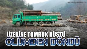 Üzerine tomruk düşen işçi ölümden döndü