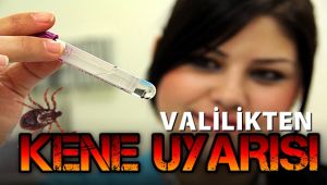 Karabük Valiliğinden kene uyarısı