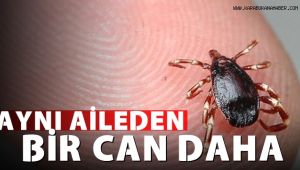 Kene aynı aileden bir can daha aldı